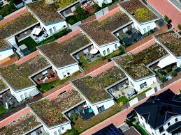 Jetzt wohnungen, häuser und gewerbeflächen mieten, kaufen oder inserieren » das größte angebot an immobilien findest du bei immoscout24. Immobilienboom Trotz Corona Hauser Und Wohnungen Immer Teurer Business Insider