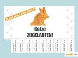 Erstellen,,, katze suchplakat, suchplakat für katzen erstellen, suchplakat, erstellen von suchplakat, augen verklebt katze, kostenlose vorlage suchplakat katze. Katze Entlaufen Massnahmen Suchflyer Vorbeugung Markt De