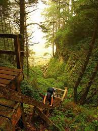 Hike The West Coast Trail West Coast Trail Best Hikes Places To Travel