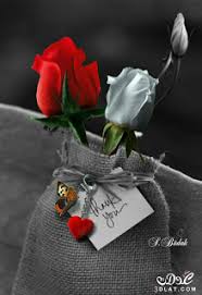 صور ورود 2020 اجمل صور زهور احلى صور ورود جميلة زينه beautiful roses color splash photography love flowers