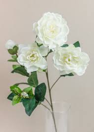 #flowerpics #flowerpic #flowerpicture #flowerpictures #bestflowerpics #flowerpicking #picflower #pickaflower #flowerpick #flowerpicnic #flowerpict #bestflowerspic #bestflowerspics #instaflowerspic. Cdn Shopify Com S Files 1 1334 4597 Products Af