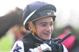 The greyhounds are running...and running....and running