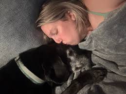 What causes sudden plant turnaround?