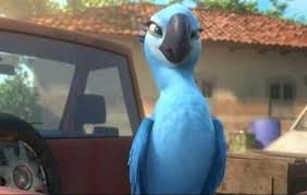 2014 / сша rio 2 рио 2. Rio 2 Jewel Disappointed By Giohollowchannel On Deviantart