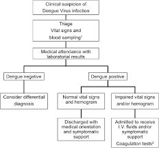 patients flow chart attendance during dengue virus