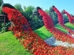 Book your tickets & tours of dubai miracle garden at best price only on thrillophilia. There Are At Least 100 Million Flowers At The Dubai Miracle Garden The Number Is Growing Each Year As During Miracle Garden Organic Gardening Magazine Garden