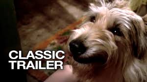 He enjoys being your friend & loves being a. Because Of Winn Dixie 2005 Official Trailer 1 Jeff Daniels Movie Hd Youtube