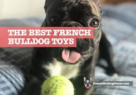 Has wheels to pull him by. 18 Best French Bulldog Toys To Keep Them Entertained All Day