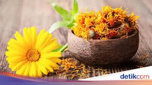 Check spelling or type a new query. Ini Manfaat Bunga Calendula Yang Sering Ditemukan Di Skincare