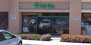 We did not find results for: Dog Teeth Cleaning In Laguna Hills Qualified Pet Dental