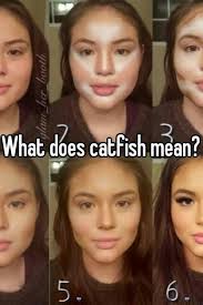 Catfishing is a deceptive activity where a person creates a fictional persona or fake identity on a social networking service, usually targeting a specific victim. What Does Catfish Mean In Online Dating