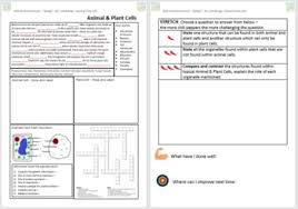 Plant and animal cells have many similarities, including shared organelles. Plant Cell And Animal Cell Worksheets Teachers Pay Teachers
