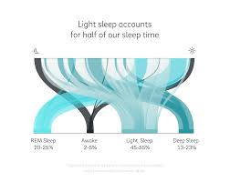 Stages Of Sleep The Definitive Guide Oura Ring