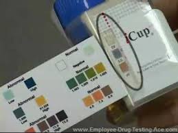 Icup Employee Drug Screening Kit Instructional Video Youtube