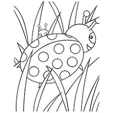 Technically there are 17 insects, a. Top 17 Free Printable Bug Coloring Pages Online