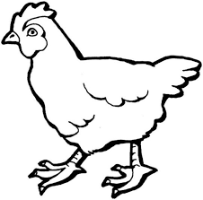 Chicken Coloring Page Realistic Sun Pages Draw Beach Halloween Kids Of A Dog Cool Hallo Farm Animal Coloring Pages Cartoon Coloring Pages Animal Coloring Pages