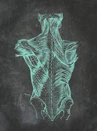 Print At Home Grays Anatomy Back Muscles Chart Vintage Medical Etsy Anatomy Back Massage Art Massage Therapy Business Cards