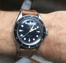 After waiting for about 2 months, my lorier neptune v3 finally arrived. Erledigt Lorier Neptune V Iii Blue Gilt Fast Neu
