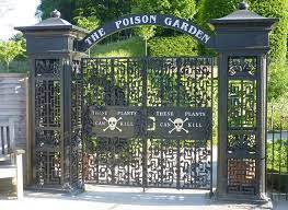 A Lovely English Garden Full Of Deadly Poisonous Plants Poison Garden Poisonous Plants Alnwick