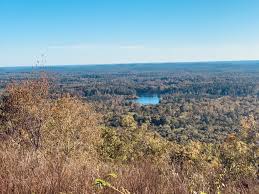 We have 30 different cabins varying in size from 1 to 5 bedrooms. Pine Mountain Ga Vacation Rentals Cabin Rentals More Vrbo