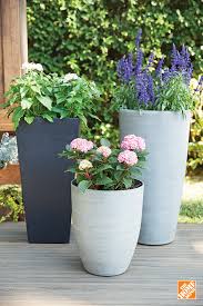 Get 1 free product today 6000+ gardening products all india delivery. Pin By Melinda Mitchell On Backyard Ideas Inspiration Potted Plants Outdoor Plants Planters