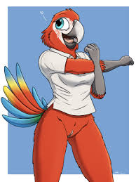 Rule 34 - Absurd Res Anthro Avian Bird Bottomless Clothed Clothing Cute  Expression Female Fish Birb Genitals Heart Hi Res Macaw Neotropical Parrot  Parrot Polo Shirt Pussy Samantha (fish Birb) Shirt Solo