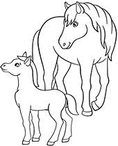 Kolorowanki ze zwierzetami do wydruku ciekawostki psy koty. Kolorowanki Ze Zwierzetami Do Wydruku Ciekawostki Psy Koty