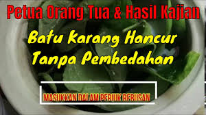 Malah kebanyakan orang yang che petua tanya lebih menyarankan cara nie. Rahsia Daun Pecah Beling Untuk Merawat Batu Karang Youtube
