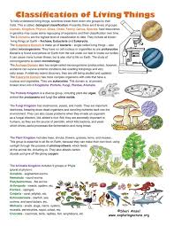 Pin On Learning From Home