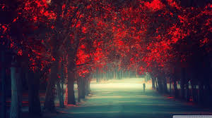 We determined that these pictures can also depict a alone, light, man, prison, rat. Walking Alone Wallpapers Wallpaper Cave