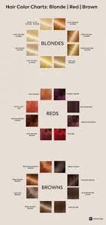Your hair is also more susceptible to damage if. How To Pick The Best Hair Colour From The Hair Colour Chart By The Urban Guide Urbanclap Editorial Medium