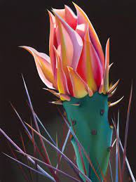 Many desert cacti bloom in response to a cool, dry, dormant period. Arizona Lipstick Cactus Bloom Dyana Hesson