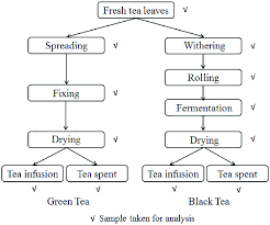 the flow chart of traditional manufacturing process of green