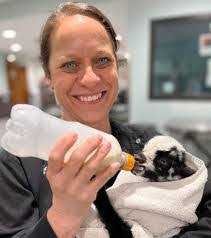 Lori Carnes's Instagram, Twitter & Facebook