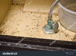 mouse poop turds feces under bathroom