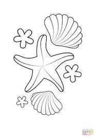 Malvorlagen fische muscheln haus design konzept 017 malbuch malvorlagen fische muscheln muscheln, ein seestern und ein fisch. Die 7 Besten Ideen Zu Strand Malvorlagen Strand Malvorlagen Malvorlagen Wenn Du Mal Buch