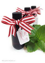 Diy Mint Extract Recipe Mint Extract Homemade Condiments Christmas Food Gifts