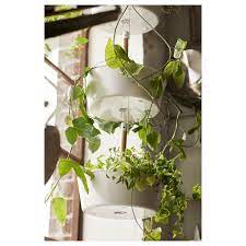 Check spelling or type a new query. Bittergurka Hanging Planter White Ikea
