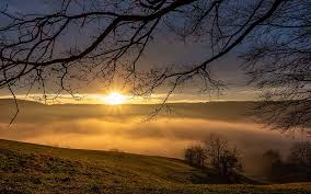 See more ideas about beautiful sunset, sunset, sky aesthetic. Sunset Aesthetic Tree Sky Twilight Landscape Sun Silhouette Atmosphere Dark Pxfuel