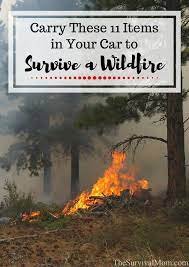 Carry These 11 Items In Your Car To Survive A Wildfire Survival Survival Mom Survival Prepping