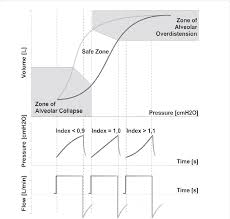 A horrifying and disturbing experience seeing him lie on the pitch he collapsed. Representative Figure Of The Pressure Volume Loop Highlighting The Download Scientific Diagram