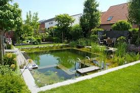 Natural Swimming Pools Natural Swimming Pools Swimming Pool Pond Natural Swimming Pool