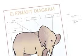 Maybe you would like to learn more about one of these? Qh3ltlhe4r39am