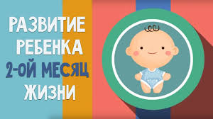 сколько должен спать ребенок в 2 месяца на ив Vtoroj Mesyac Zhizni Kalendar Razvitiya Rebenka Youtube