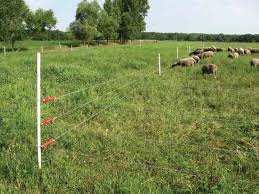 An electric fence deters, detects, denies and defends your property. 2