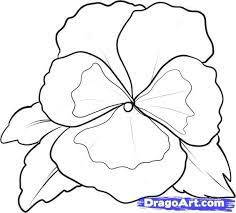How To Draw A Pansy Step By Step Flowers Pop Culture Free Online Drawing Tutorial Added By Dawn September 13 2 Flower Drawing Pansies Flowers Flower Art