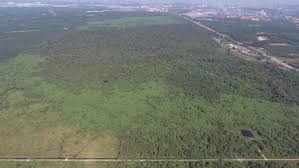 Pengurusan hutan berkekalan sfd telah menandatangani. Bantah Penyahwartaan Status Hutan Simpan