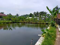 Maybe you would like to learn more about one of these? Perekonomian Kota Tasikmalaya