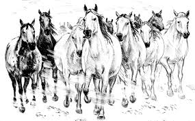 Free herd of wild horses on the prairie coloring and printable page. Horse Crayon Drawing Drawing With Crayons