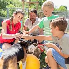 Why go to a dog breeder, cat breeder or pet store to buy a dog or. Adopt A Shelter Cat Dog Pocket Or Barnyard Animal In Clermont County